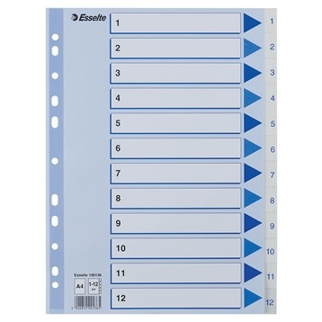 Esselte Register PP A4 1-12 white